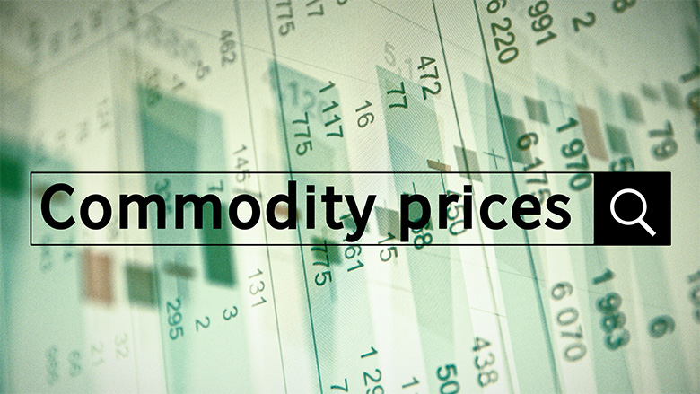 commodity prices in india - costmasters software