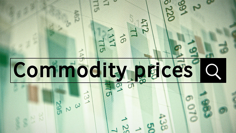 Commodity Prices in India - CostMasters Software