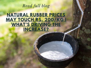 Natural Rubber Prices may Touch Rs. 200/KG | What’s Driving the Increase?