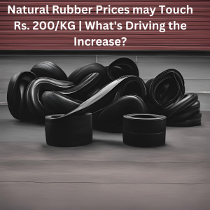 Rubber Prices Touching its Peak rs200/kg in June, 2024