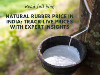 Natural Rubber Price in India: Track Live Prices with Expert Insights